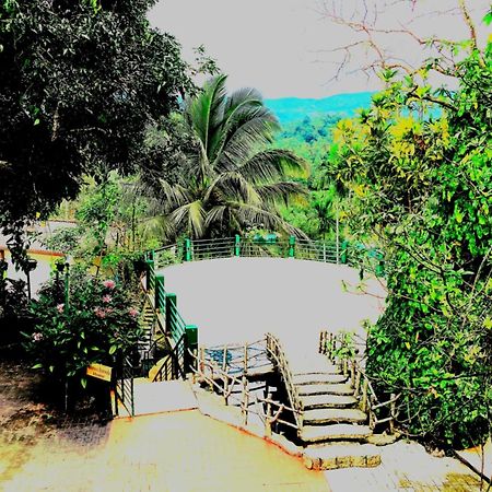 Rainforest Lodge, Deniyaya Singheraja Esterno foto
