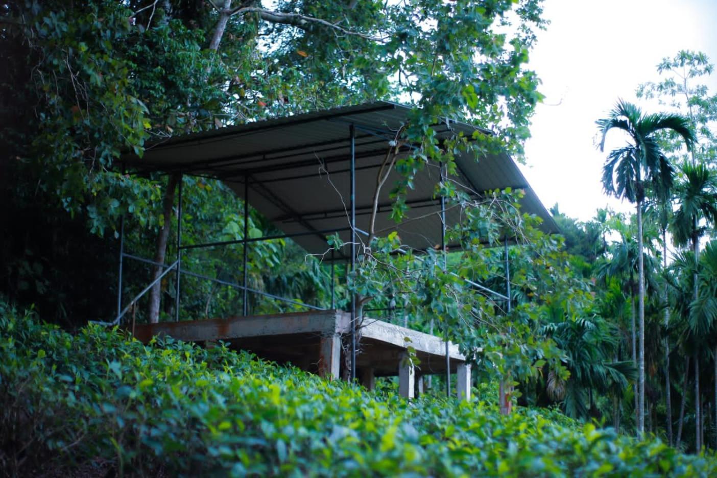 Rainforest Lodge, Deniyaya Singheraja Esterno foto