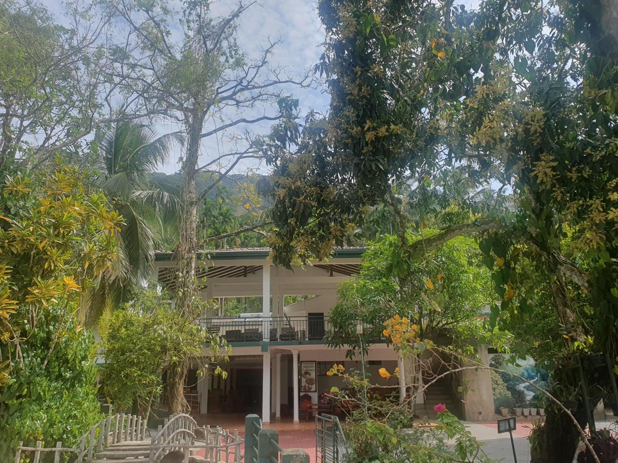 Rainforest Lodge, Deniyaya Singheraja Esterno foto